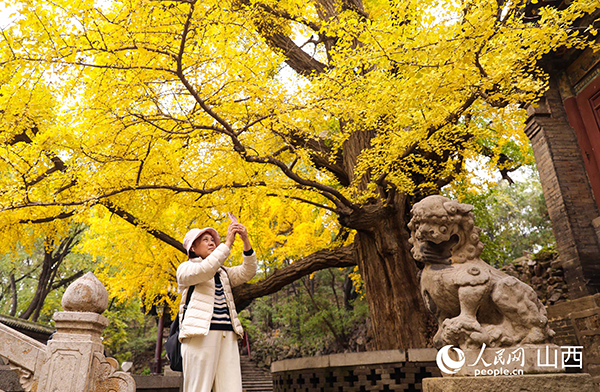 ��Ⱦ�x�� �����y��������ס�